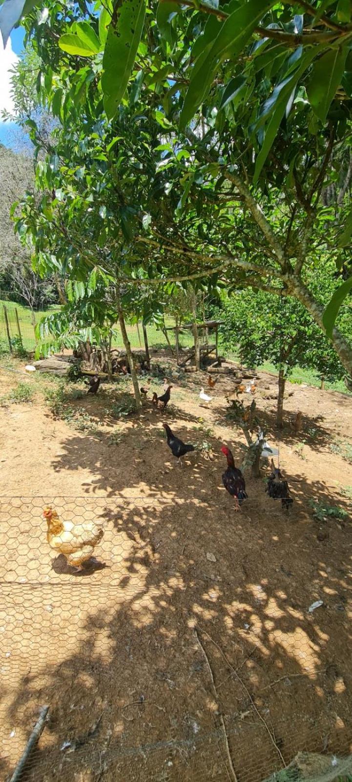 Sitio Saramandaia Villa จูคิทชิบา ภายนอก รูปภาพ