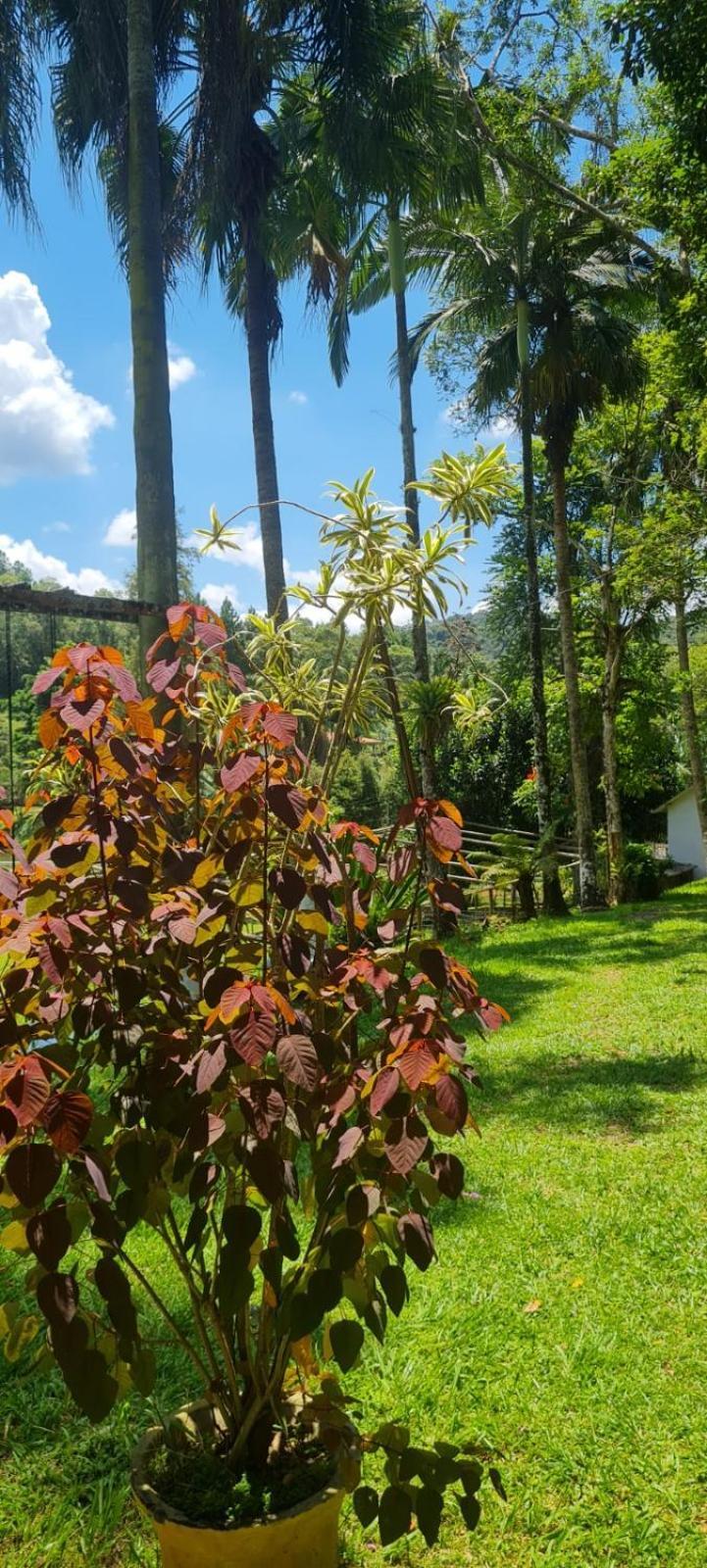 Sitio Saramandaia Villa จูคิทชิบา ภายนอก รูปภาพ